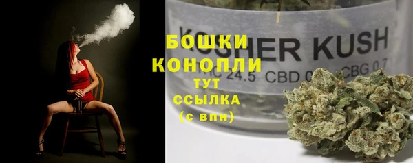 твердый Армянск