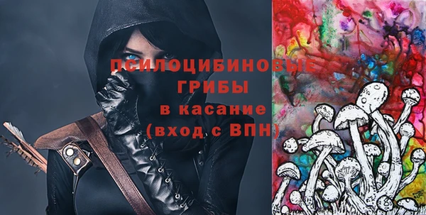 трава Арсеньев