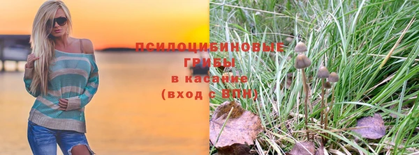трава Арсеньев