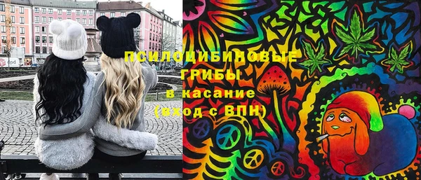 ешки Аркадак