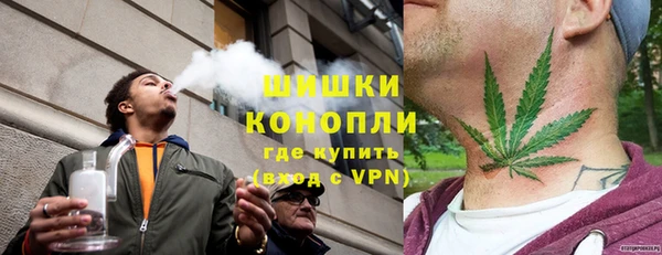 трава Арсеньев