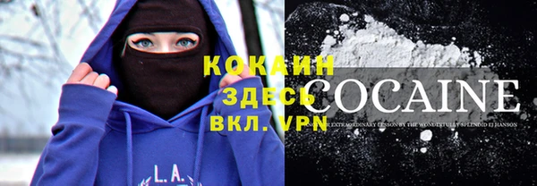 дмт Алзамай